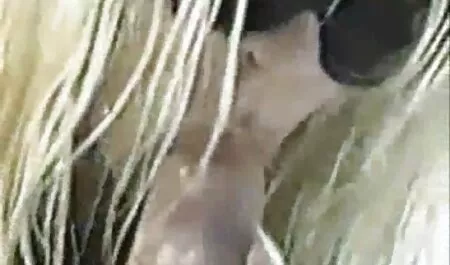 خانه دار کشیده یک فيلم نيمه سكسي همسایه به یک اتاق هتل برای خوشمزه فاک