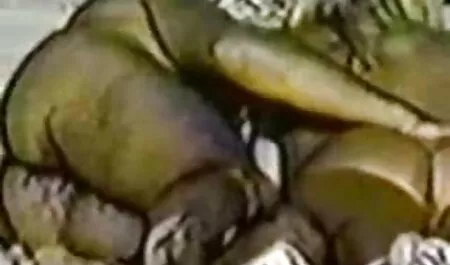 آسیایی, زن و شوهر منزوی در دانلود فیلم های نیمه سکسی خانه